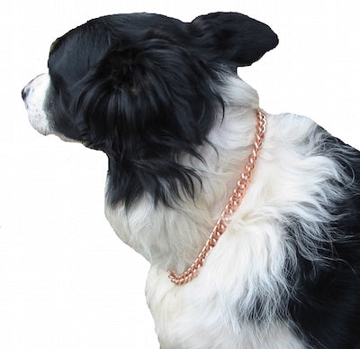 Copper Magnetic Therapy Dog Collar