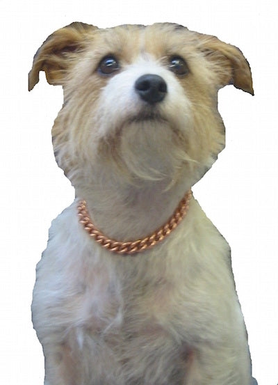 Copper Magnetic Therapy Dog Collar
